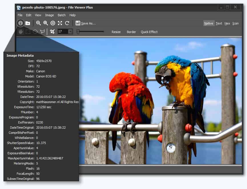 picture viewer like mac but for windows